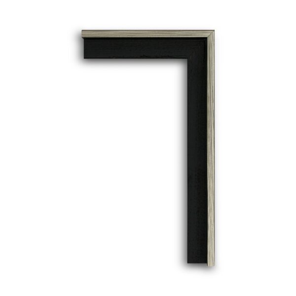 black silver f