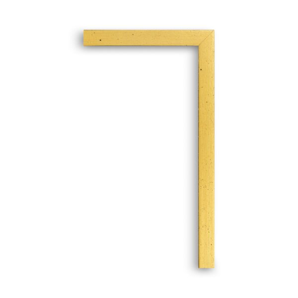 gold maple f