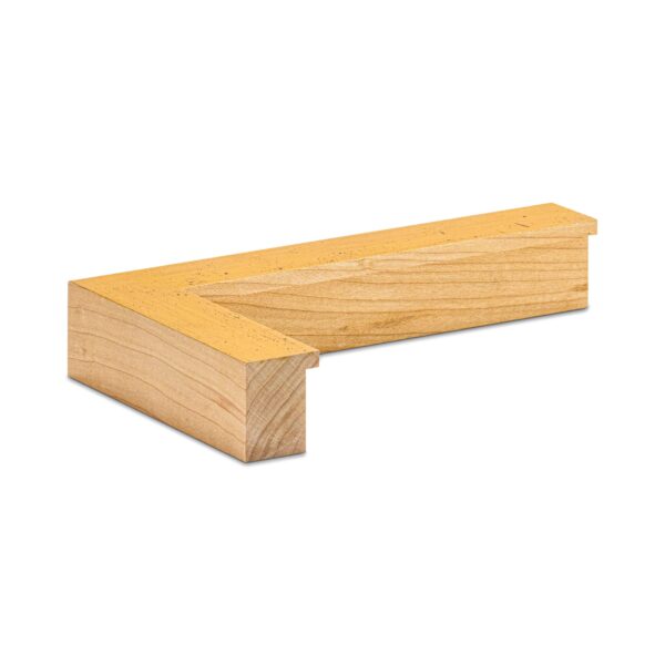 gold maple