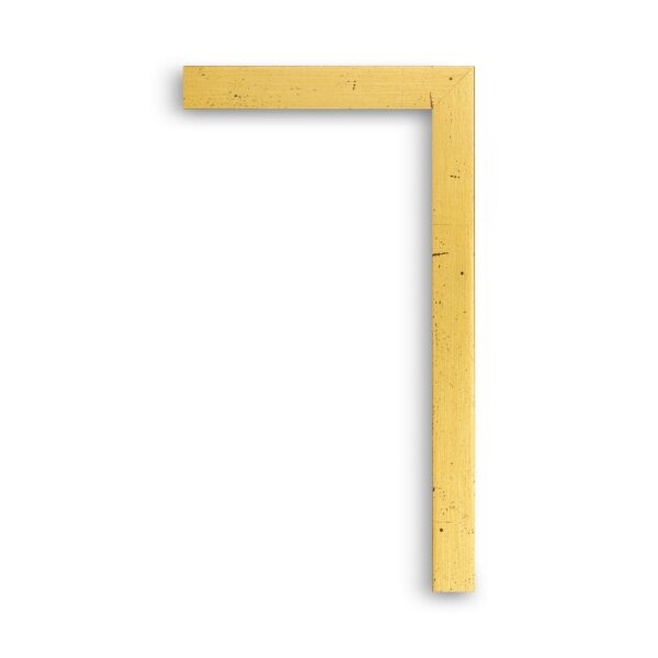 gold maple f