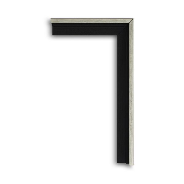 silver f